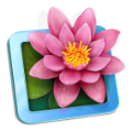 MacApp