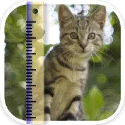MacApp